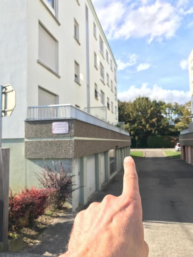 Studio T A 5Mn Euro Airport Avec Terrasse Saint-Louis  Exterior foto